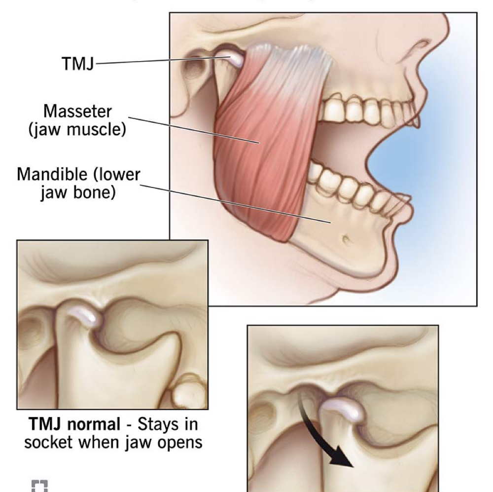 Tmj Massage at PNW Collective in Albany, OR