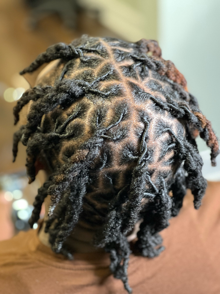 Loc 4 Strand Twist (Style Only)