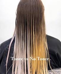 Gloss/Toner
