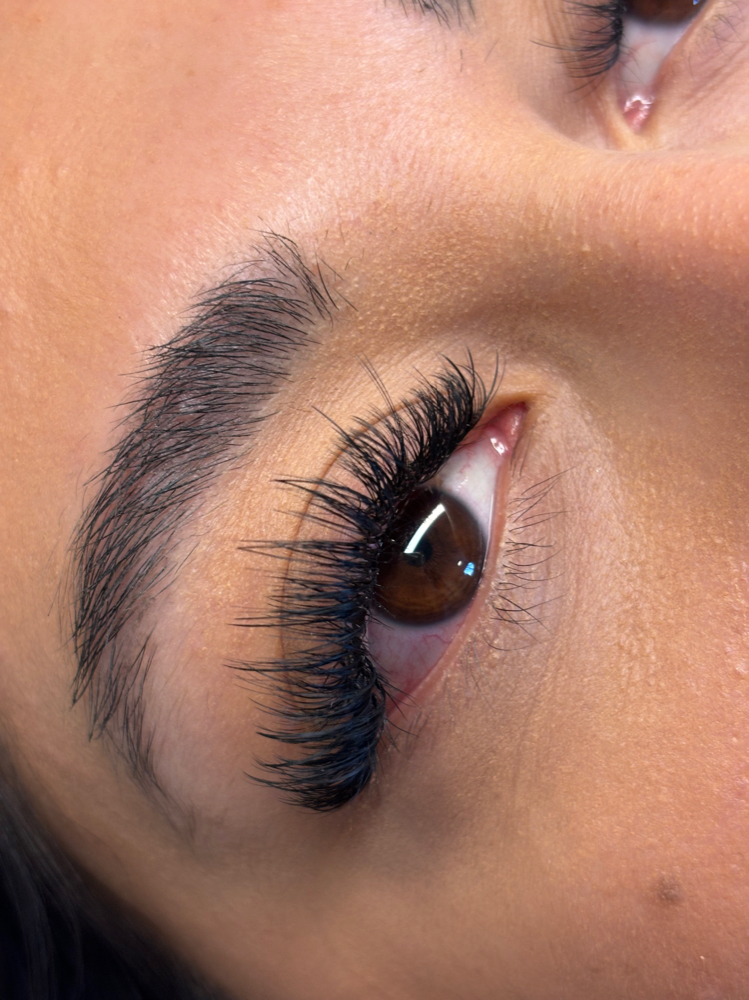 Volume Lashes