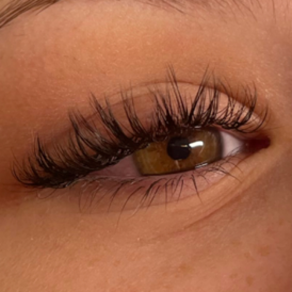 Hybrid Lash at Faerie Ink and Flutter in Tucson, AZ