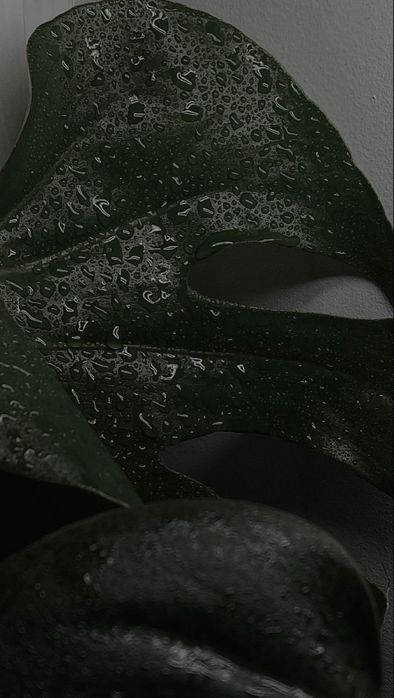 Wispy Mega Volume Fullset at Lashedbyliyahh in Kent, WA