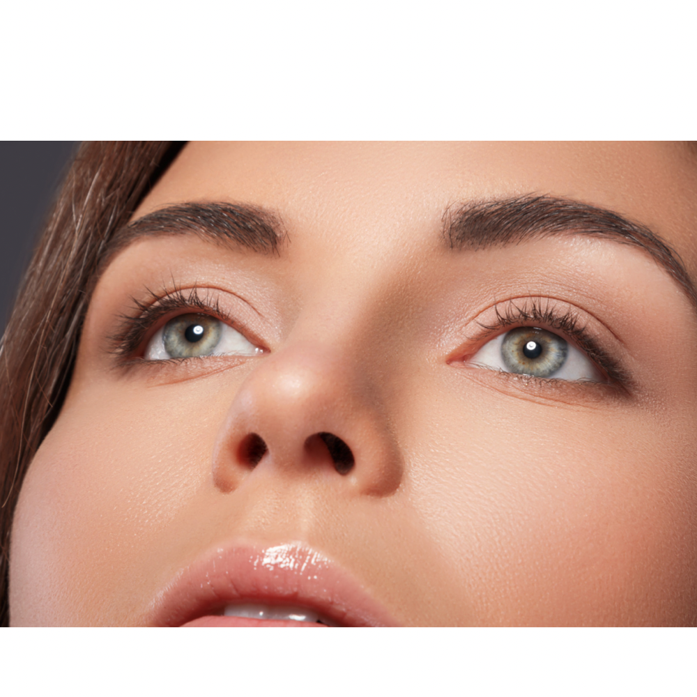 Eyebrow Wax & Tint