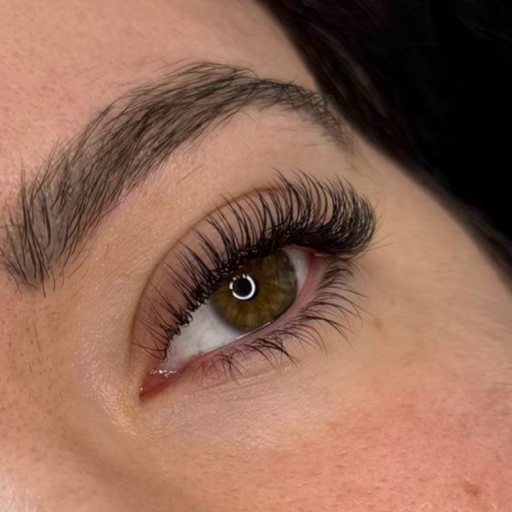 Classic Lash Extentions at The Shelton Studio in Shelbyville, TN