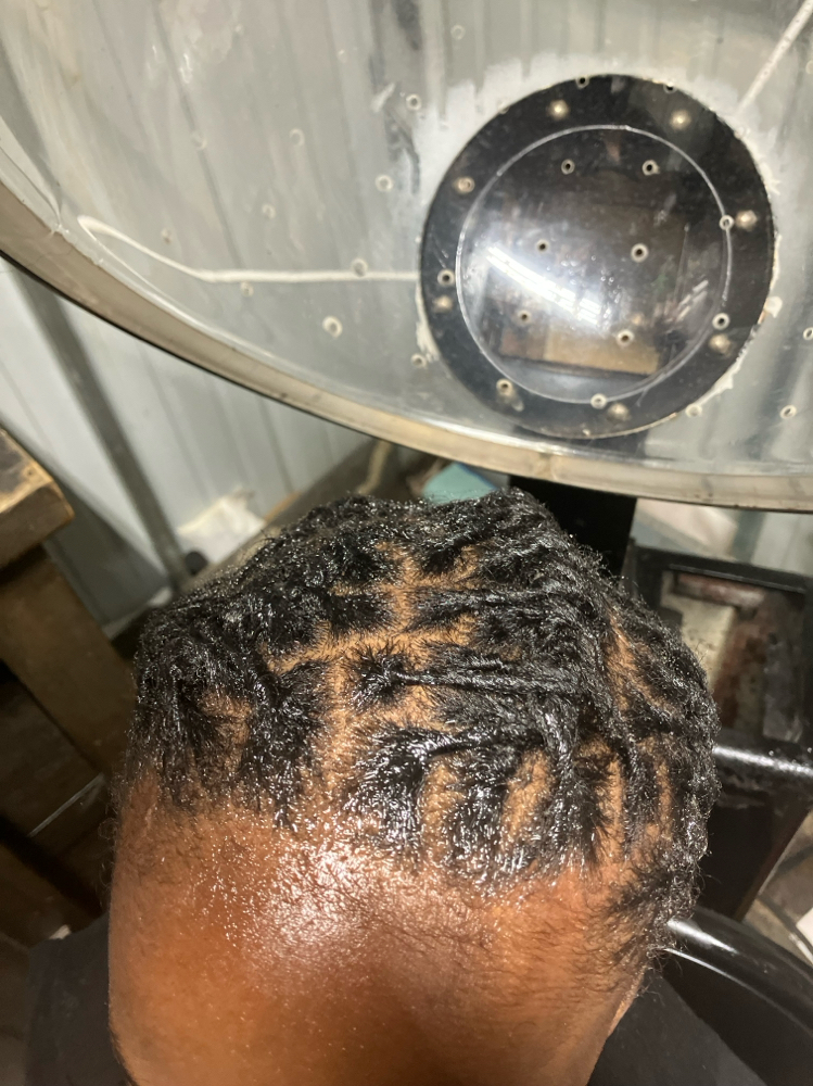 Starter Dreads Full Head
