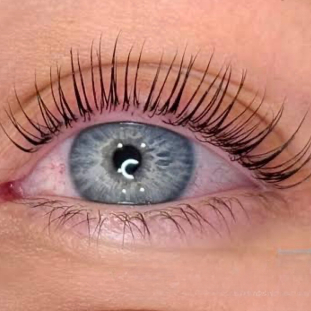 Korean Lash Lift & Tint at Fox Den Beauty Bar in Catskill, NY
