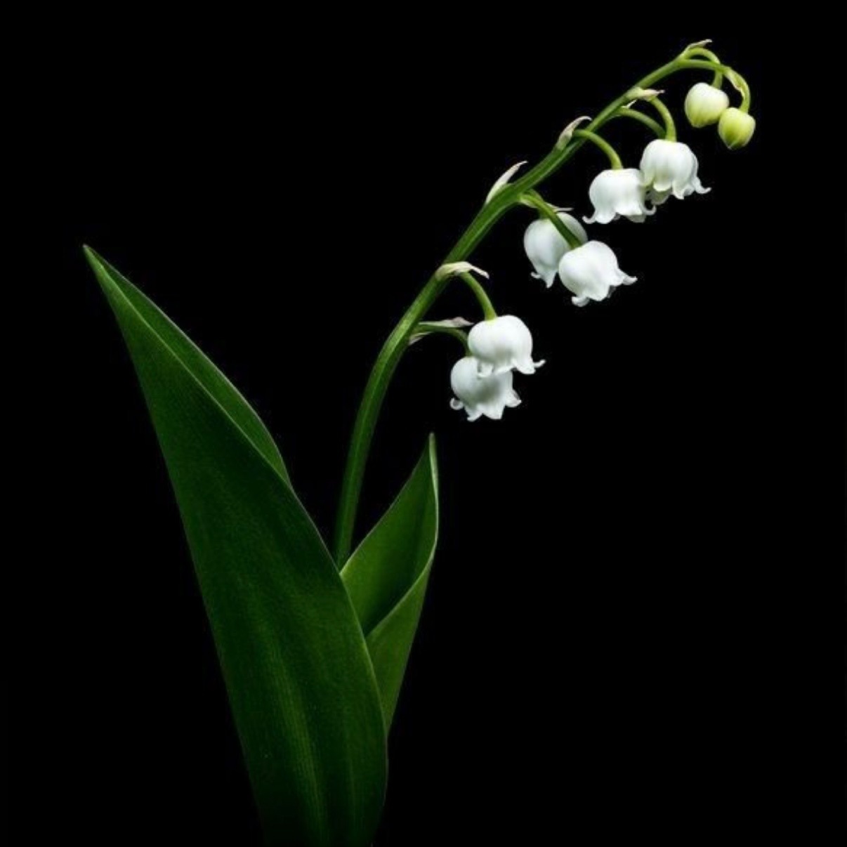 Consultation at JR Hair Co. in Lincoln, NE