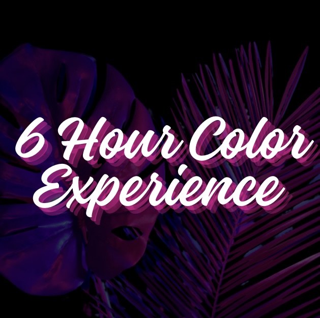 6 Hour Color Experience