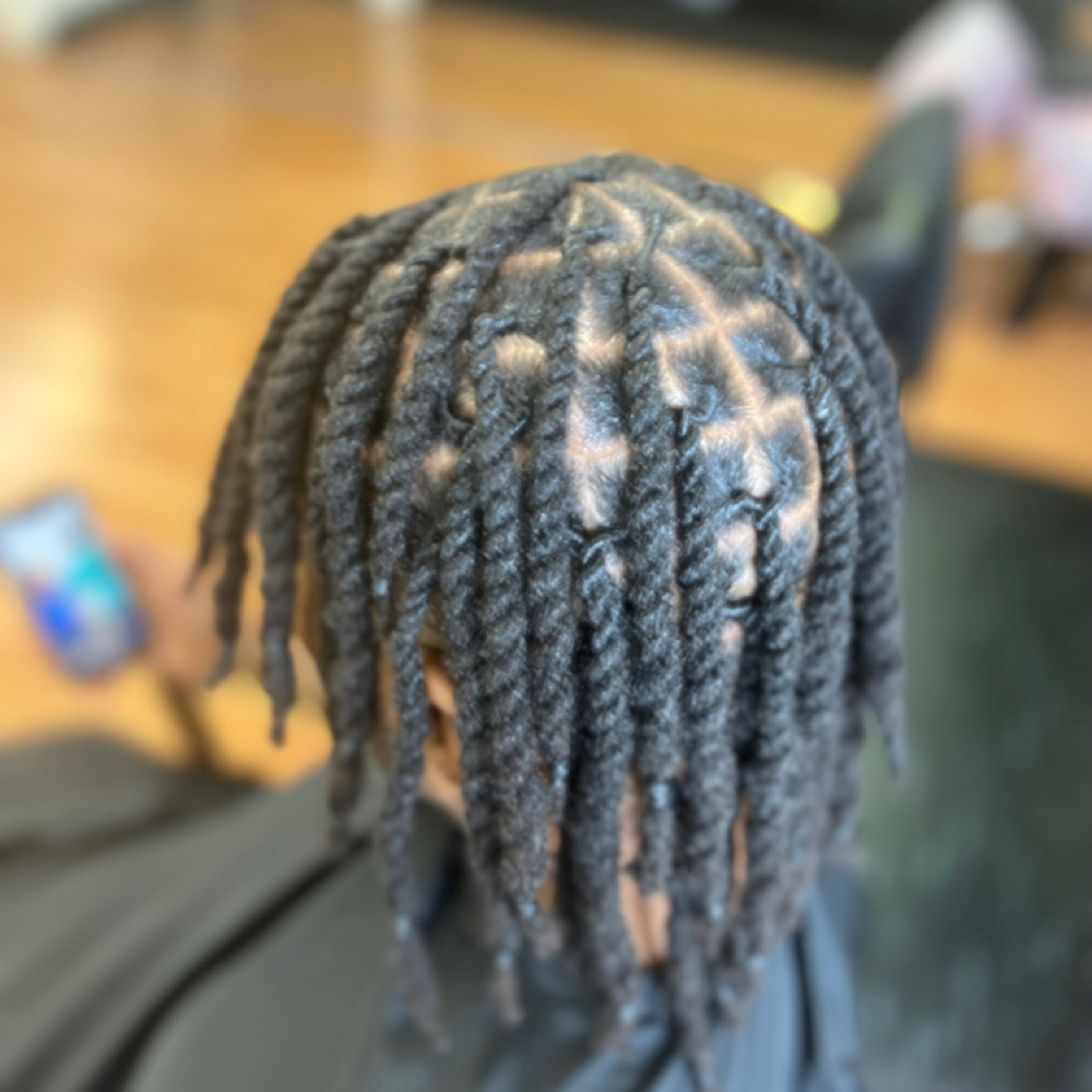 Two Strand Twist at Paradisestylez in Southfield, MI