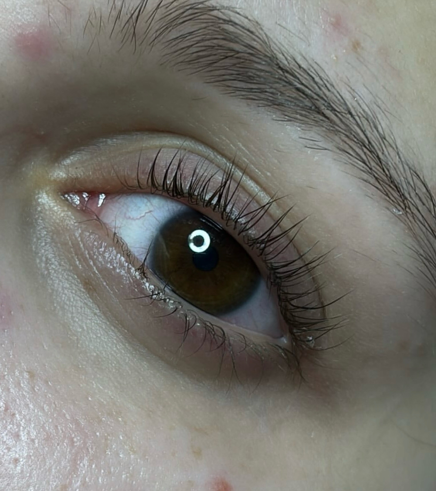 Lash Lift