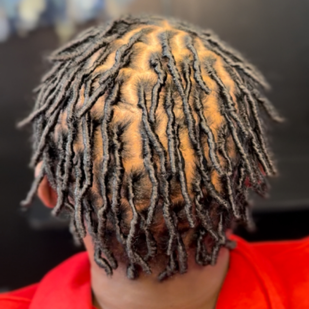 Comb coil STARTER LOCS at LocsByEssie in Pittsburgh, PA