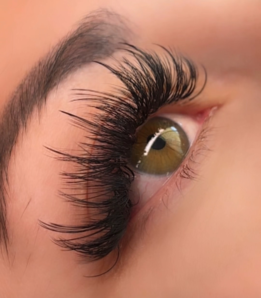 Wispy Volume 1 Week Fill