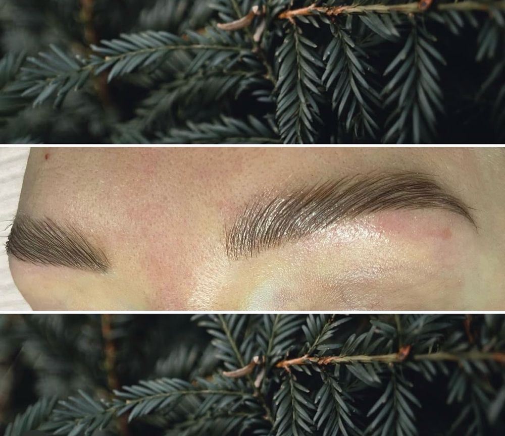 Brow Lamination at Rested Skin Studio in Huntsville, AL