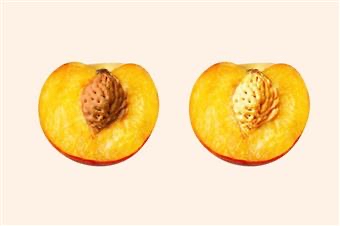 Peach Seed (Anal Wax)