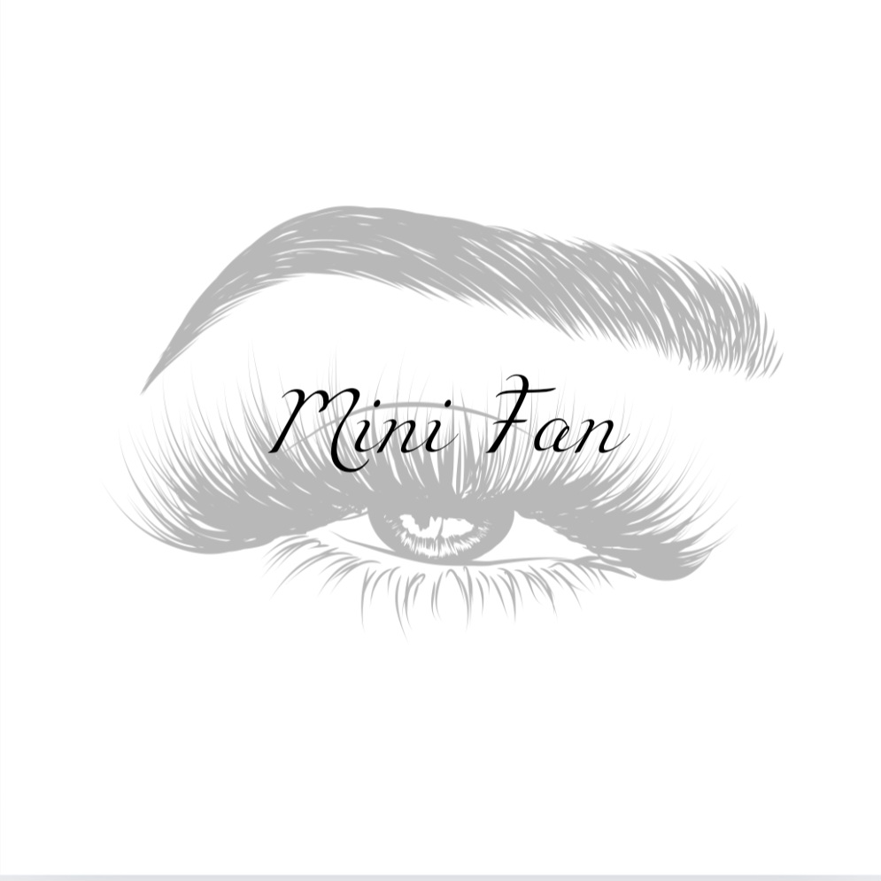 Mini Fan