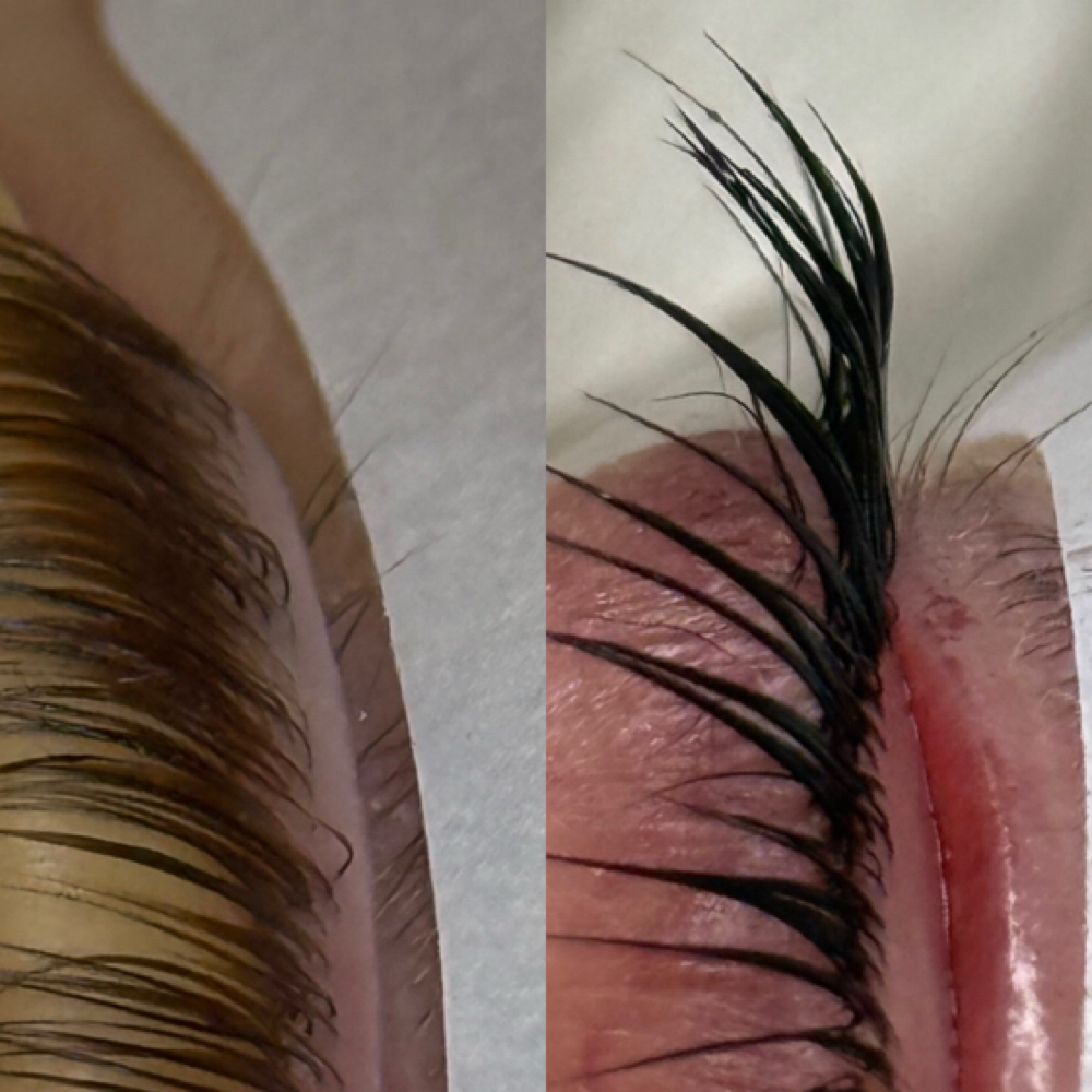 Korean Lash Lift + Tint at P Baby Lash in Pomona, CA
