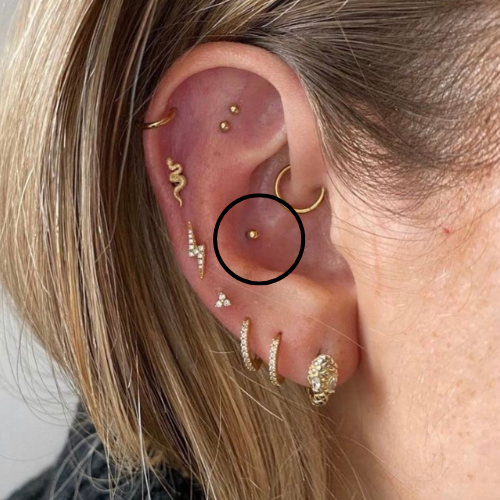 Conch