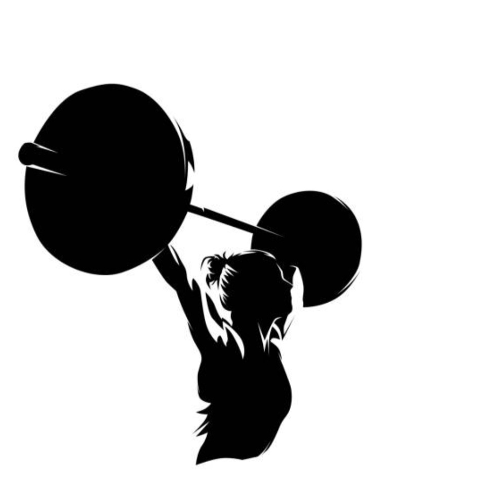 Custom Workout Plan
