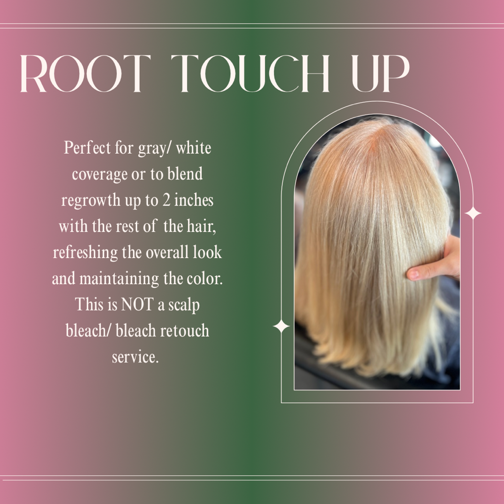 Root Touch Up