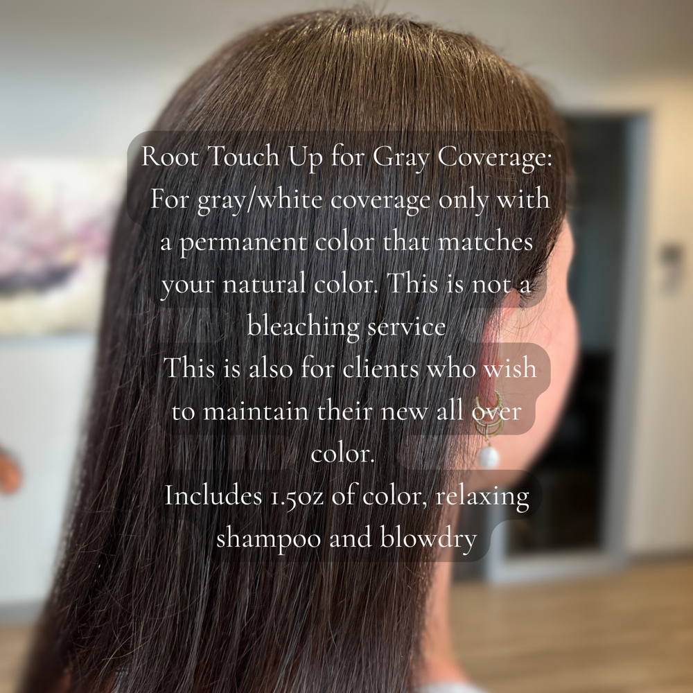 Root Touch Up - Gray Coverage at Amanda B Hair Artistry in Burleson, TX