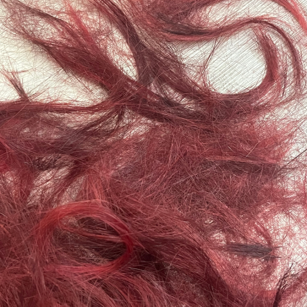 new client cut at SCISSORED BY fig bailey in Long Beach, CA