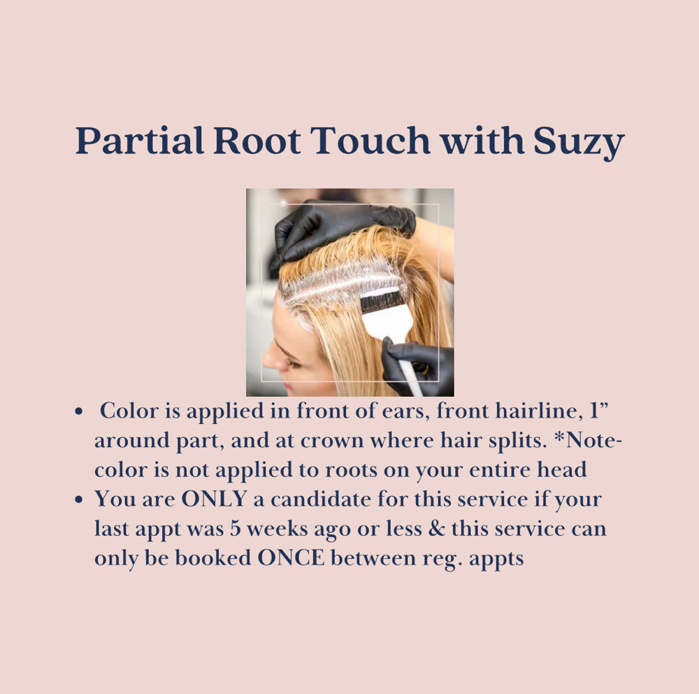 Partial Root Touch-up W/ Suzy