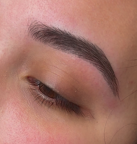 Eyebrow Touchup 6-8 Weeks