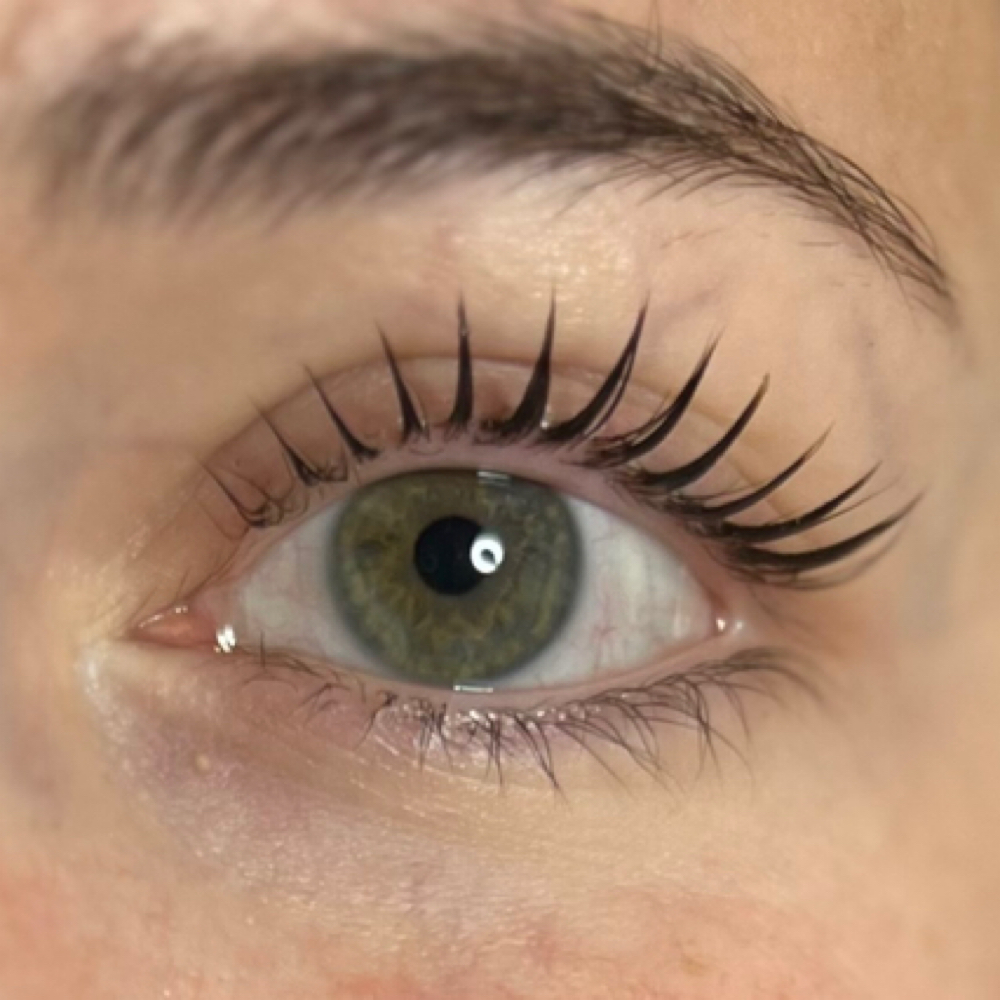 Korean Lash lift + Tint at Ablaze Aesthetics in fitchburg, MA