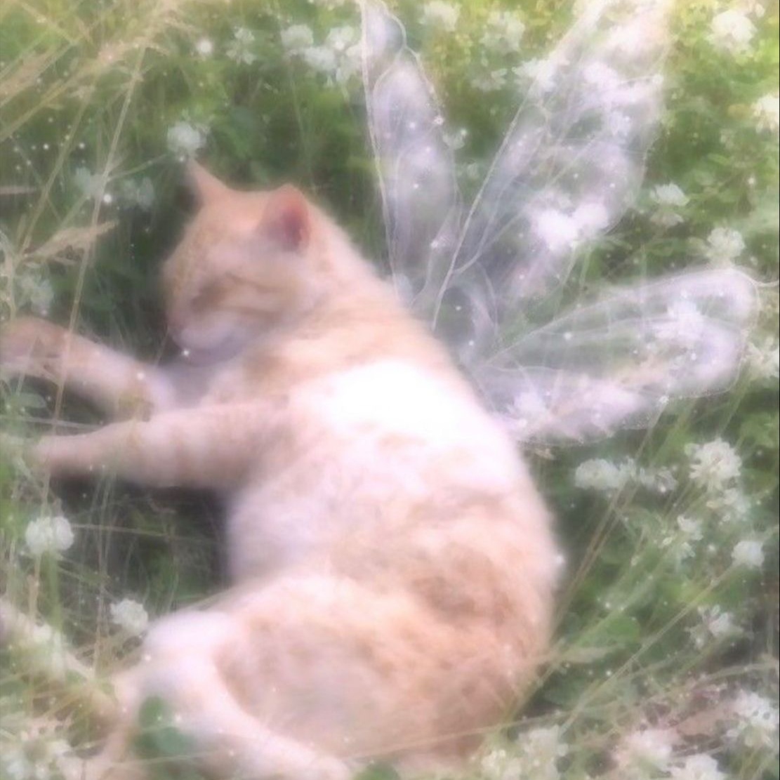 Color Correction $100/an hour at thehairfairysoph in Chicago, IL