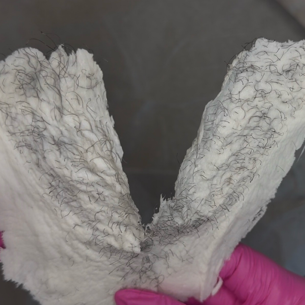 $50 Brazilian Wax Wednesdays at Botanical Beauty Bar in Austin, TX