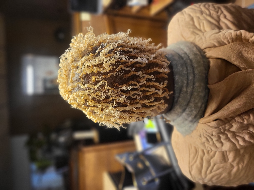 Natural Hair  2 Strand Twists