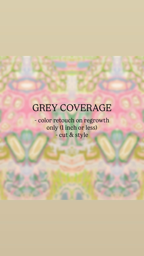 Grey Coverage at Colored by Catie Ruth in Benson, NC