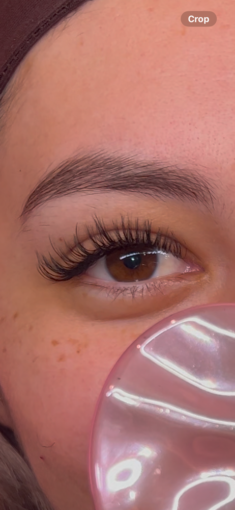 Light Hybrid at Ceeflawlesss in Bakersfield, CA