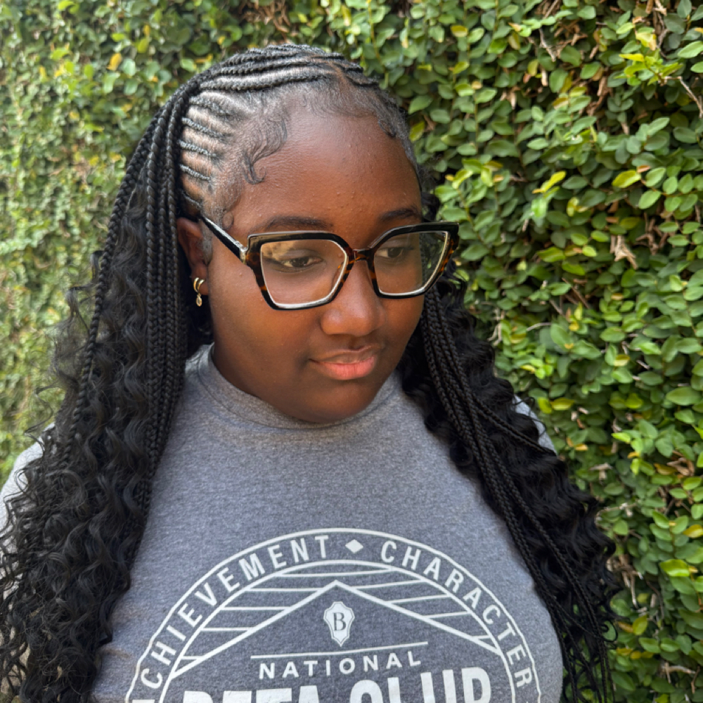 Fulani (Quick Weave) at Braids by Ryy in Laurel, MS