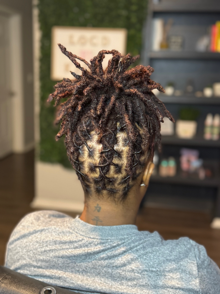 Loc Style Only 🌱
