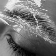 Brow Lamination