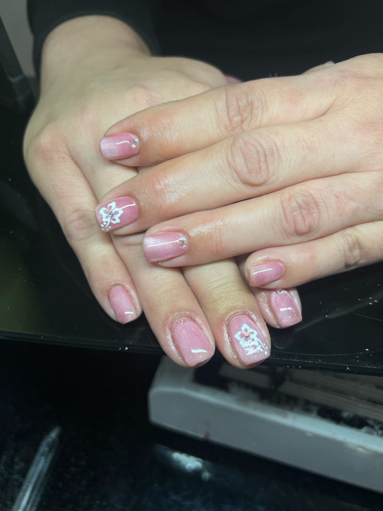 Builder Gel