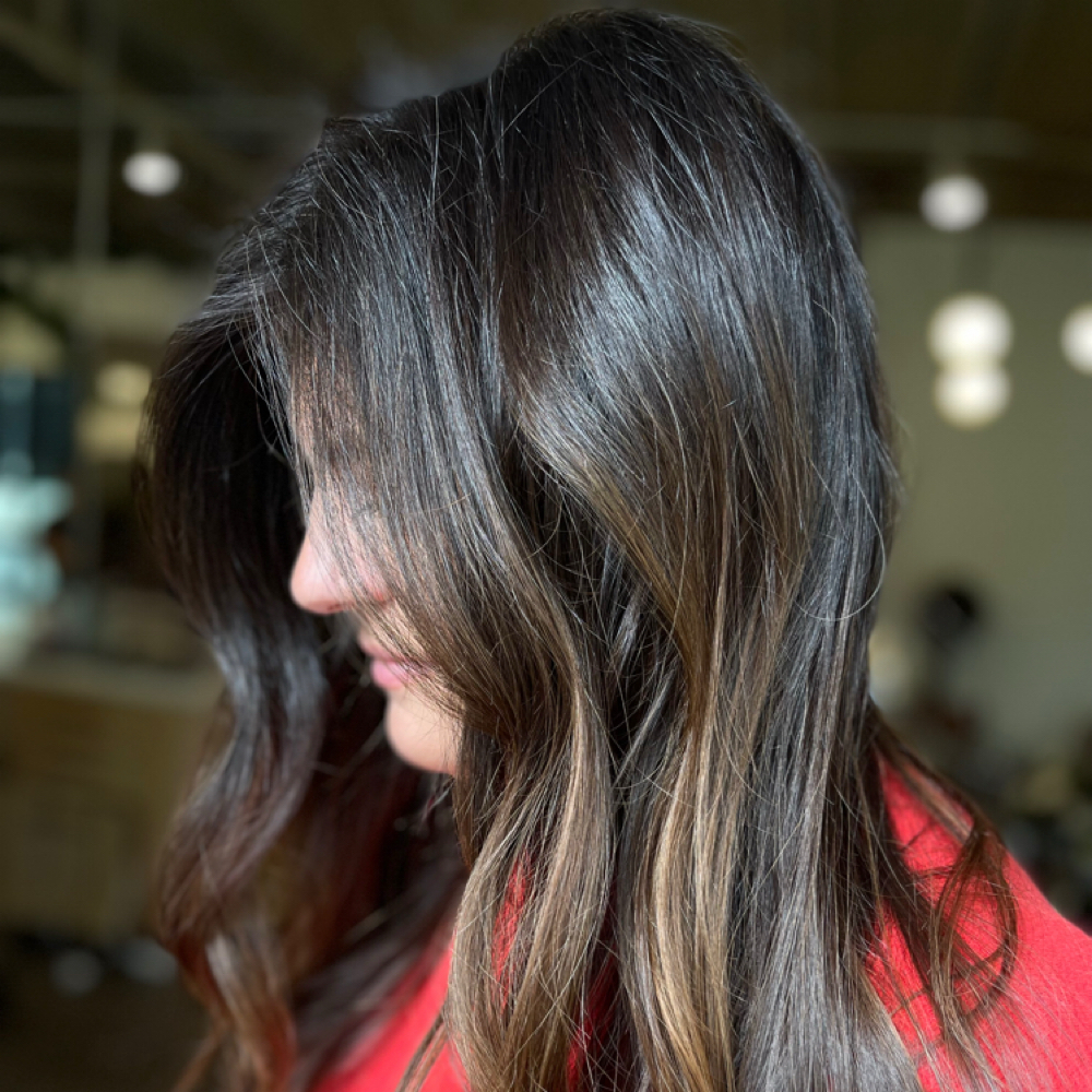 Grey Blending + Cut at Heather Donaldson Hair in Clarksville, TN