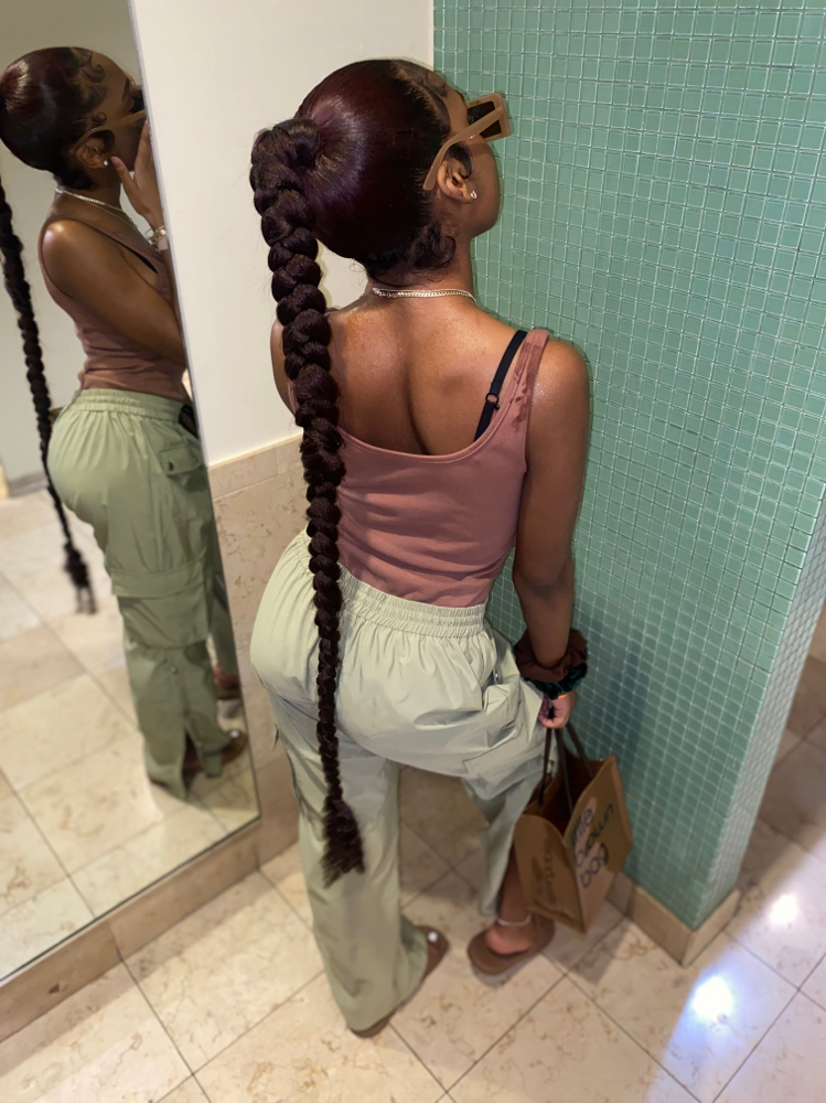 Braided Ponytail