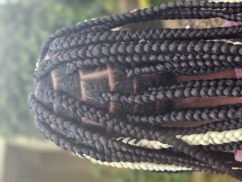 KNOTLESS OR BOX BRAIDS