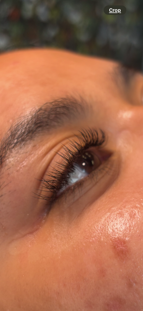 Lash Extensions: Classic