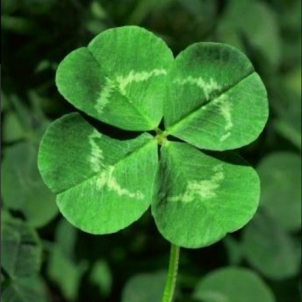 March 120 Min Special at Holly Ramsey LMT in Gadsden, AL