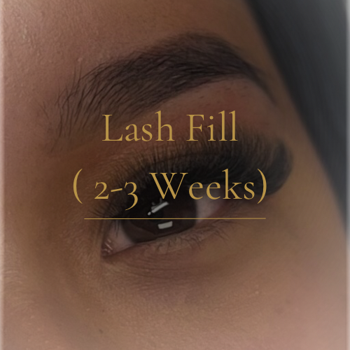 Lash Fill (2-3 Weeks)