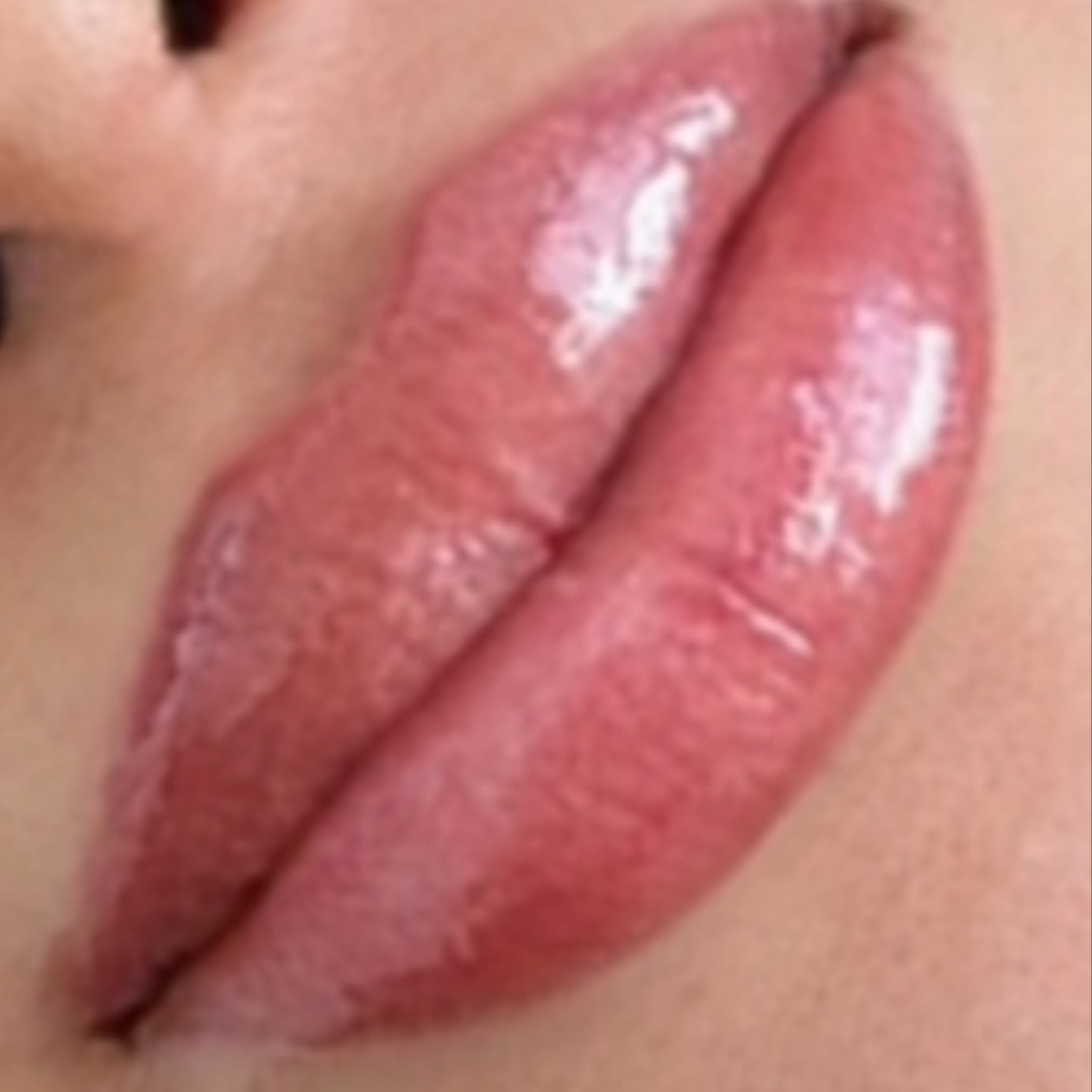 Lip Blush Perfecting Session at The Brow and Ink Atelier in Draper, UT