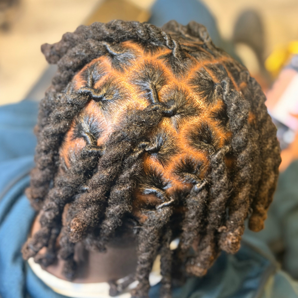 Loc Retwist-2 Strand Twist at By Kaila Nichelle Beauty Studio in Parkville, MD