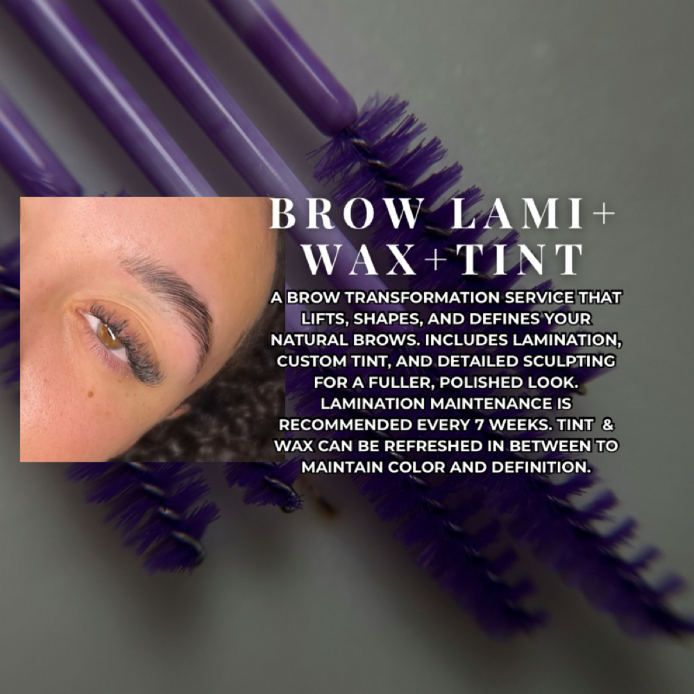 Brow Lamination + Wax & Tint at The Aurora Effect in Winterhaven, FL