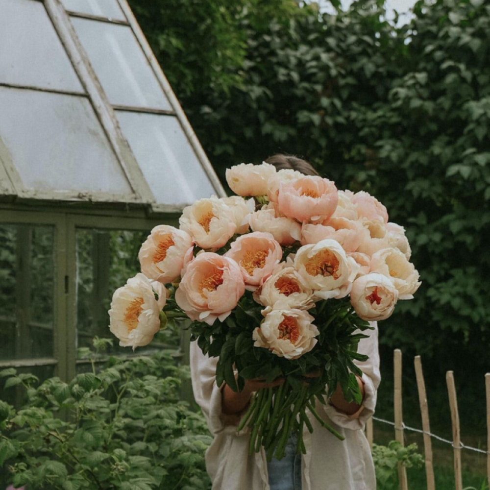 Reset & Renewal Facial 🌷 at Eden's Beauty Studio in Feeding Hills, MA