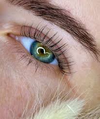 Eyelash Lift & Tint