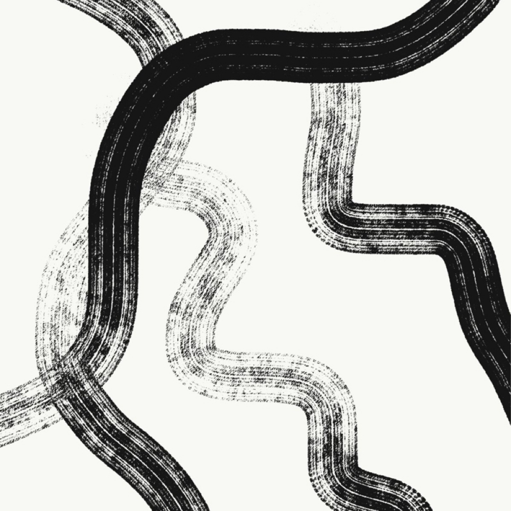 Curly Cut at Maya Madison in Selma, TX