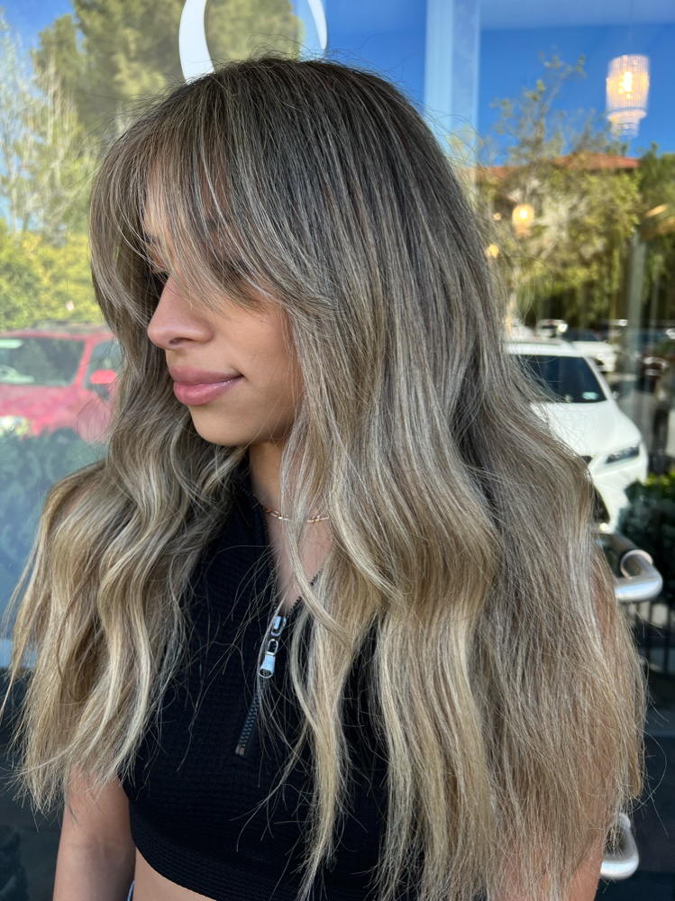 Partial Blonding & Haircut